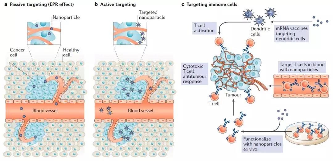 癌癥免疫療法的新型遞送平臺