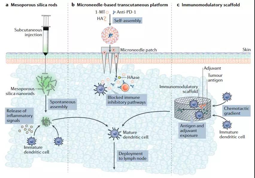 癌癥免疫療法的新型遞送平臺